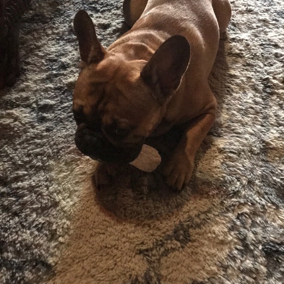 Meet your Posher, Terri - Picture 3 of 4